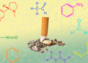 NicoZero blocks, and the sensitivity of the receptors to nicotine