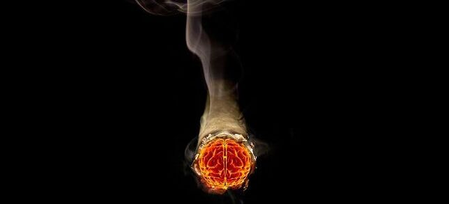 cigarette burning and nicotine harm